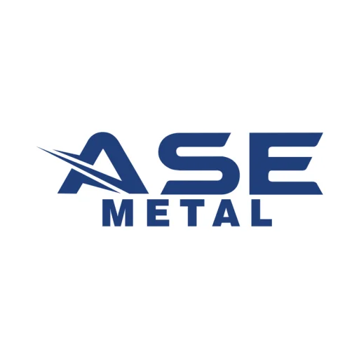 ASE Metal logo