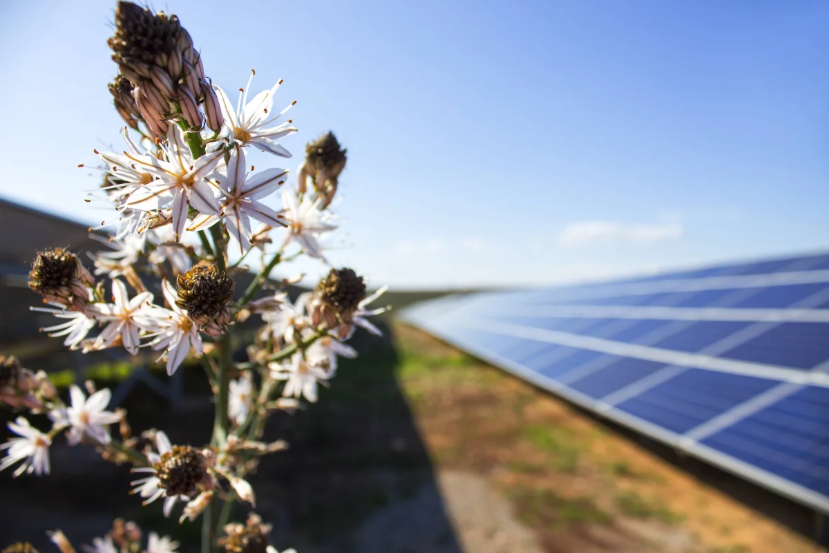 Project Design and Engineering — ERL Solar Montaj Sistemleri