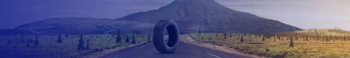 Bridgestone Lastikleri — Brisa Bridgestone Sabancı Lastik Sanayi ve Ticaret A.Ş.