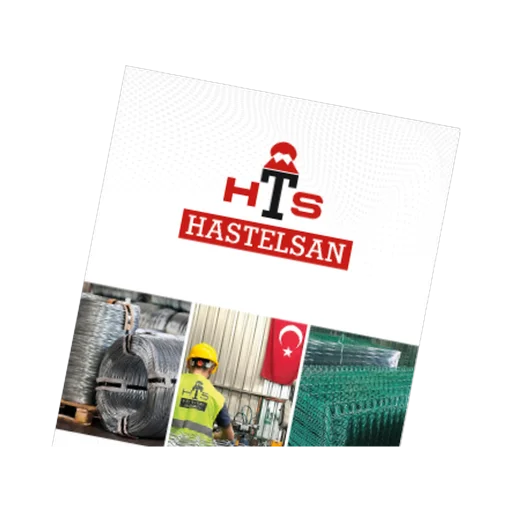Hastelsan logo