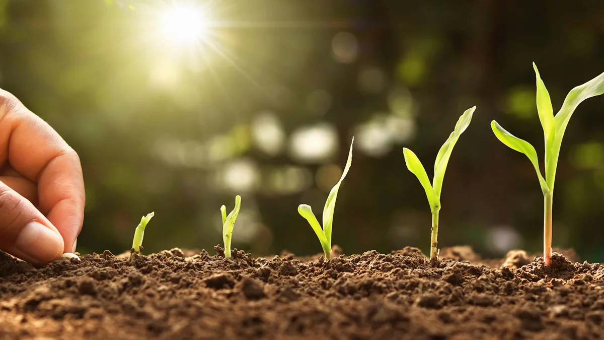 Field, Orchard and Greenhouse Technical Visits — Agrotar A.Ş.