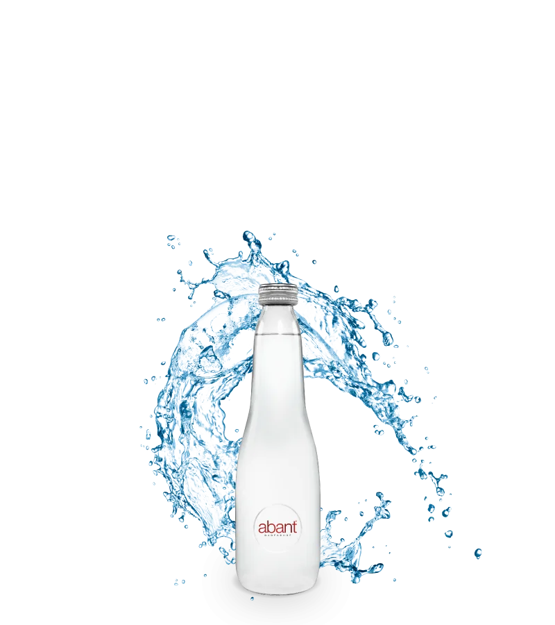 Abant Su 0,33 lt Cam Şişe — Abant Su
