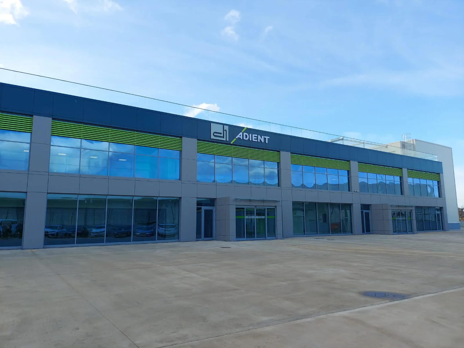 Diniz Adient