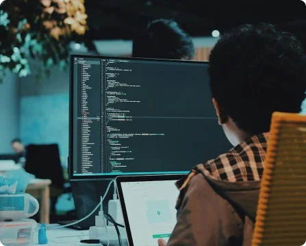 FAE and R&D Support — Özdisan Elektronik