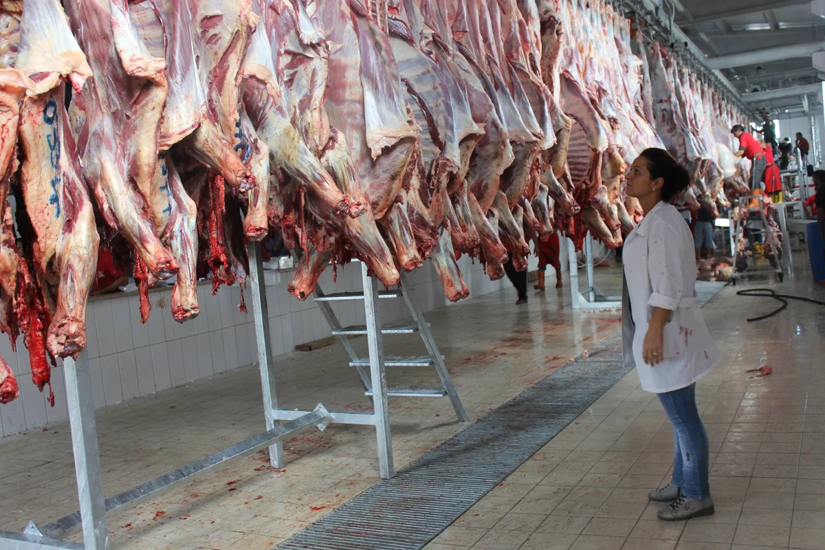 Kurban Kesim Ünitesi Projelendirme, İmalat ve Montaj — Çiçek Makina Mezbahane Sistemleri İth. İhr. İnş. San. Tic. Ltd. Şti.