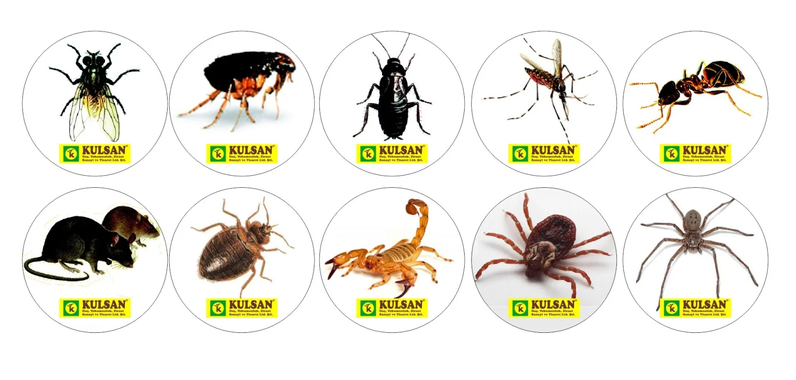 Kulsan İlaç Sanayi ve Ticaret Ltd. Şti.