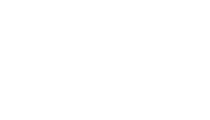 Organik Denim — Bossa Ticaret ve Sanayi İşletmeleri T.A.Ş.