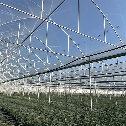 Greenhouse Cover Film — Sera Plastik