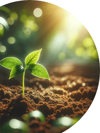 Agronomy Consulting — Doktor Tarsa