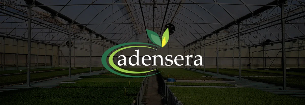 Ürün Seçimi Danışmanlığı — Aden Sera Malzemeleri ve Plastik Ürünleri Sanayi ve Ticaret Ltd. Şti.