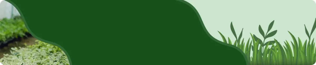 Agronomy Consulting — Merkez Anadolu Kimya Sanayi Üretim Pazarlama A.Ş.