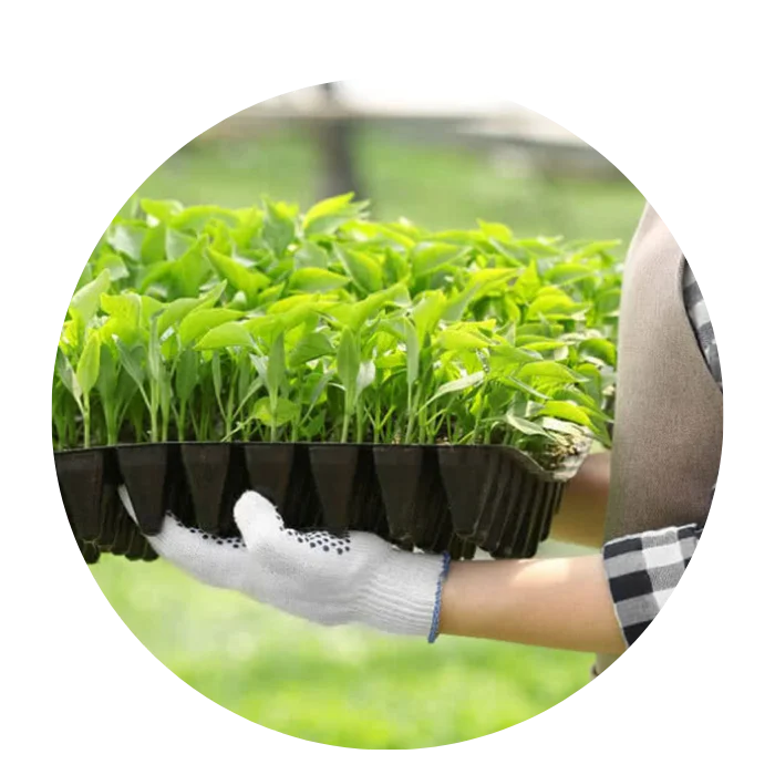 Agricultural Plastic Packaging — Adam Plastik ve Denizcilik Sanayi ve Ticaret Ltd. Şti.