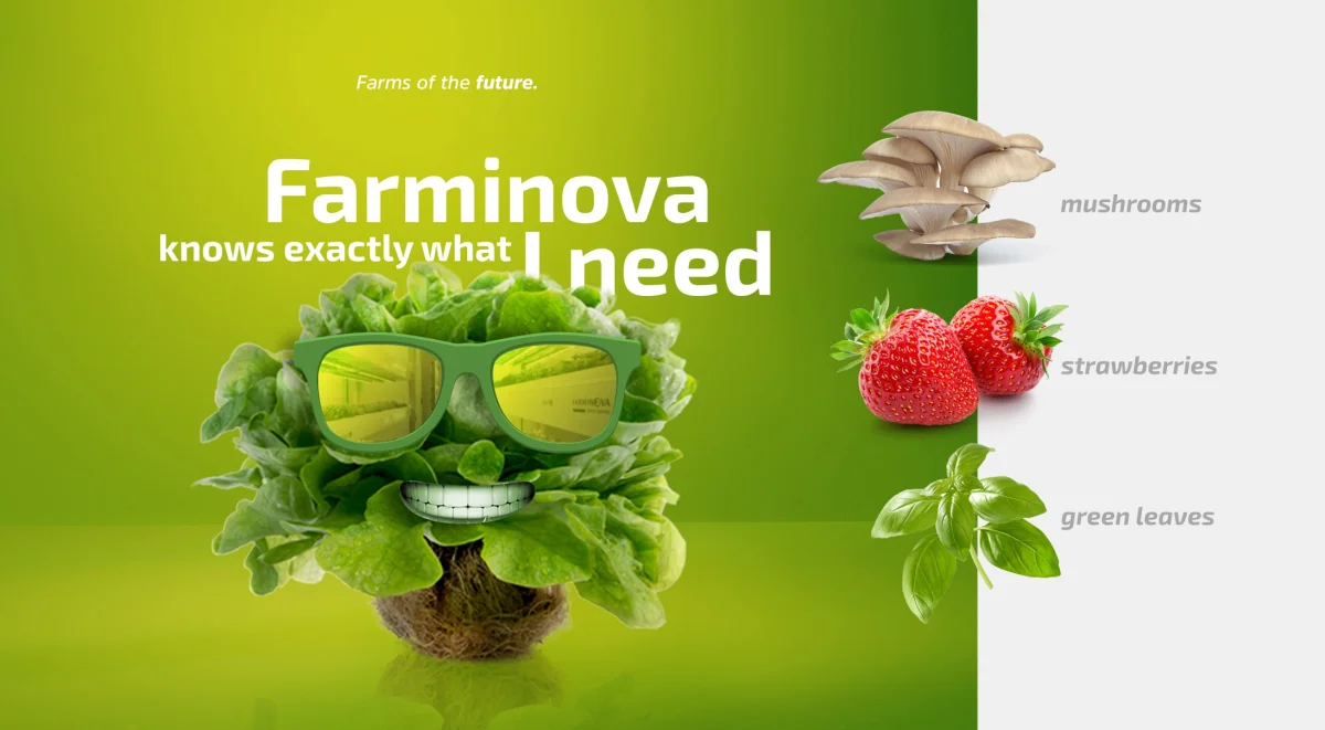 Facility Design — Farminova Bitki Fabrikaları