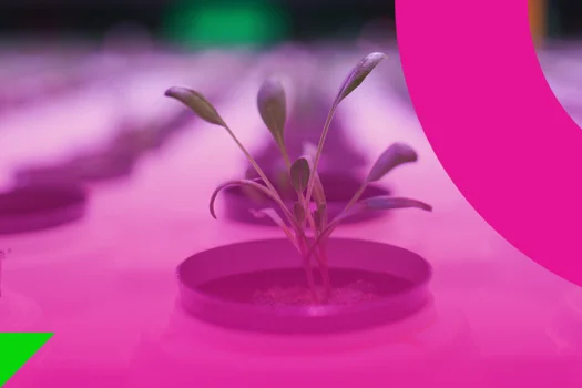 Training & Support — Farminova Bitki Fabrikaları