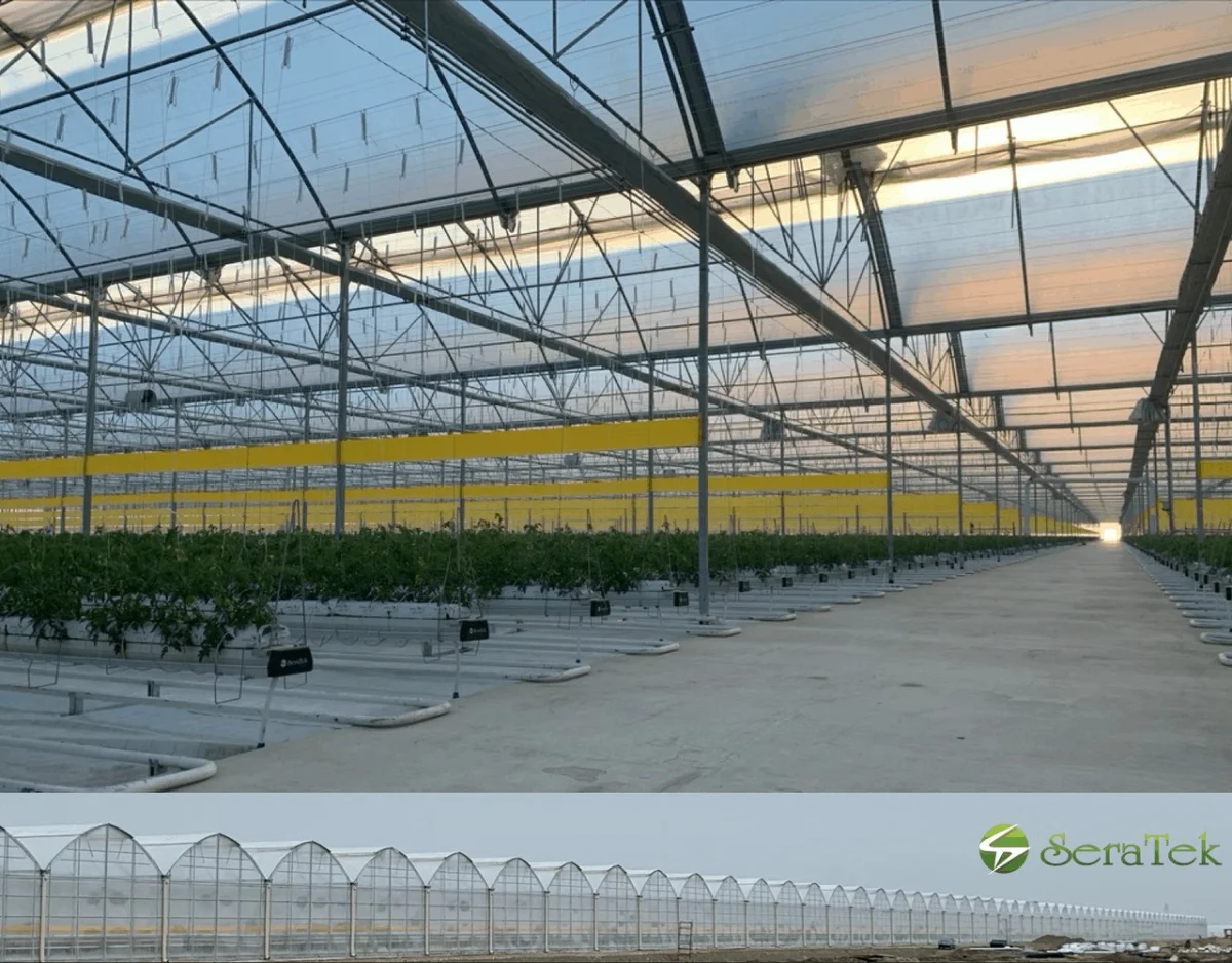 Greenhouse Steel Structure — Seratek Sera Teknolojileri Tarım İnşaat Madencilik Danışmanlık Ltd. Şti.