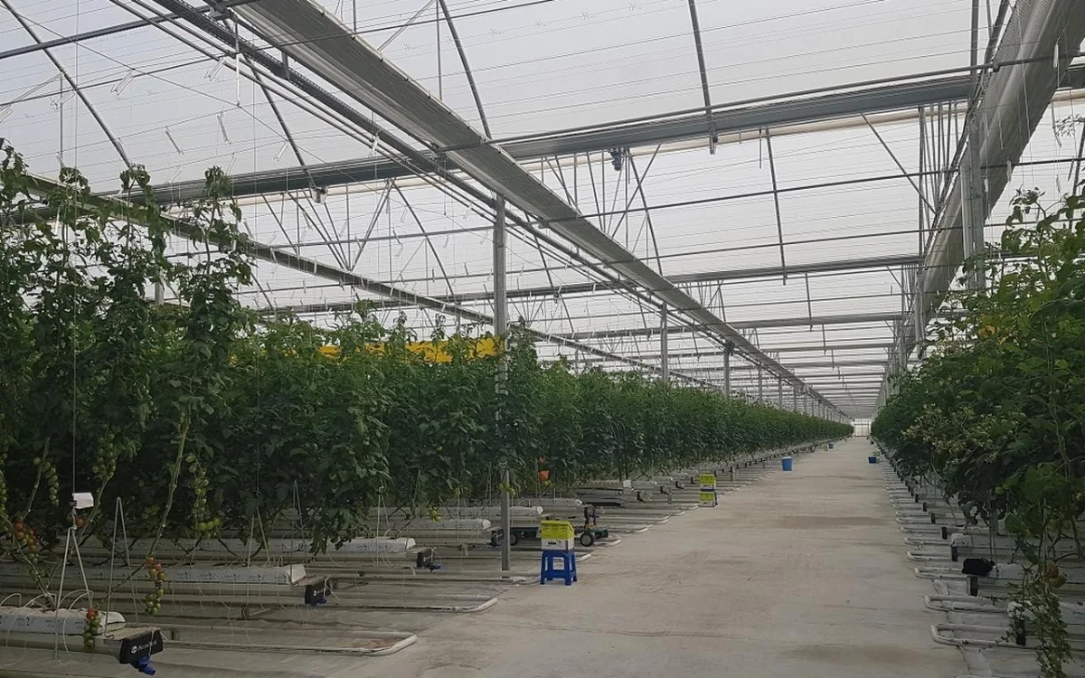 Turnkey Greenhouse — Seratek Sera Teknolojileri Tarım İnşaat Madencilik Danışmanlık Ltd. Şti.