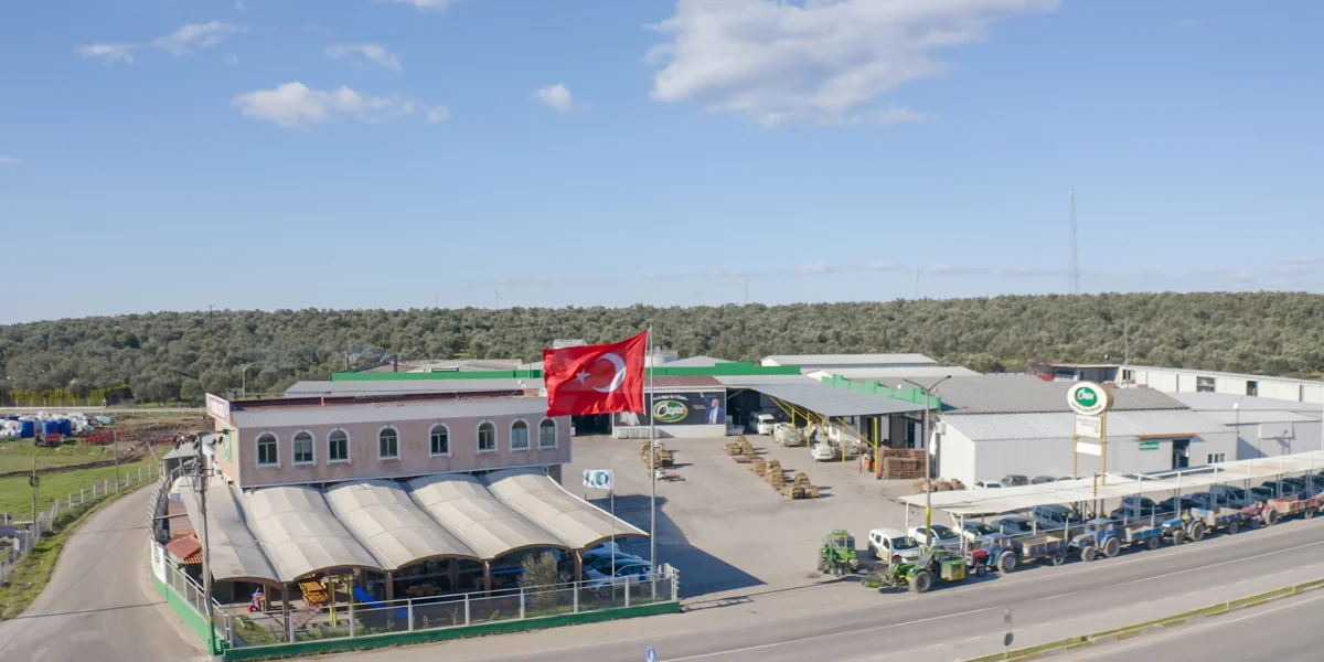 Olive Oil Production — Özgün Zeytin