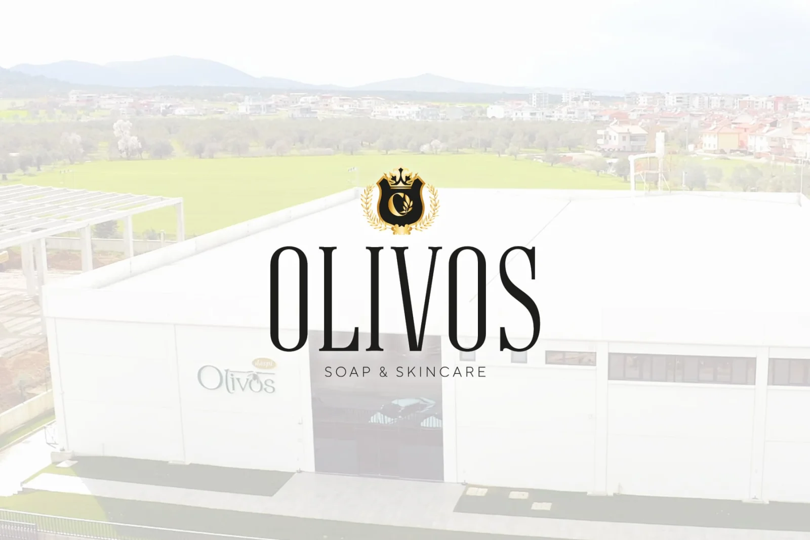 Olivos