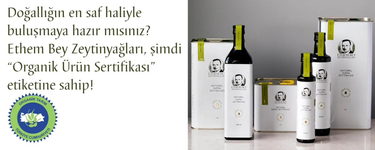Table Olive Processing — Ethem Bey