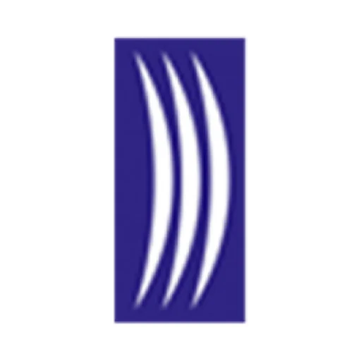 Derisay Deri Sanayi ve Dış Ticaret A.Ş. logo