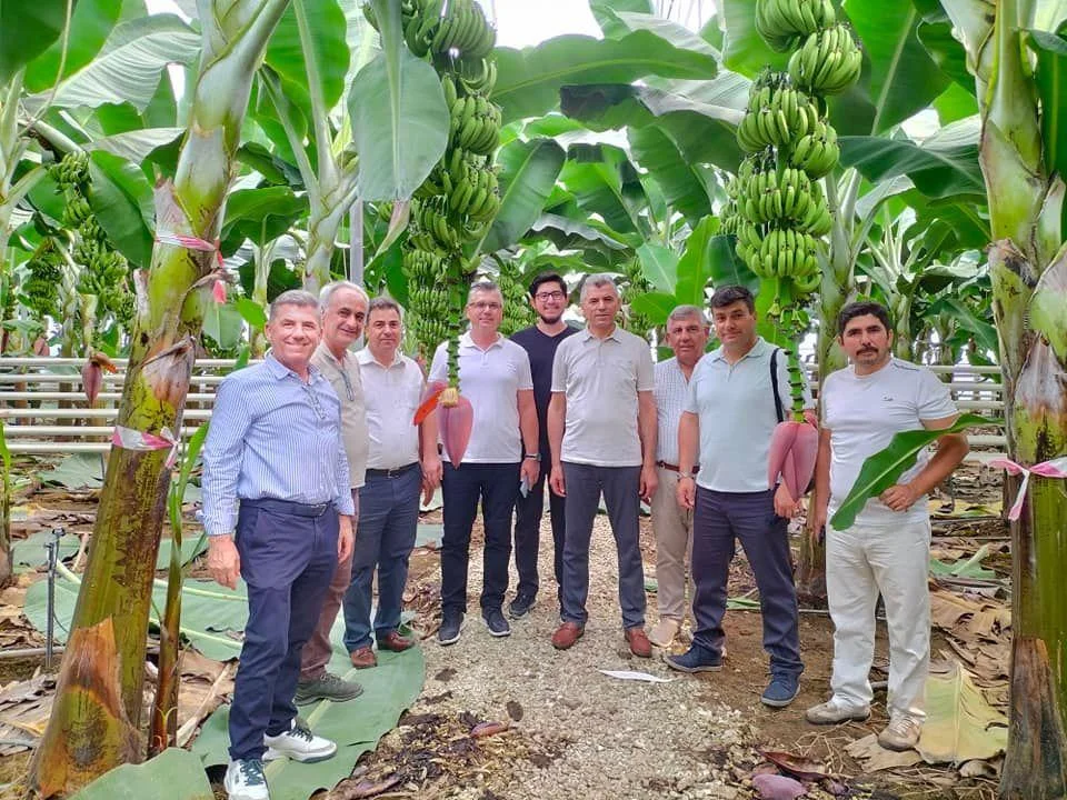 Gönen Mutlular Tarım İşletmeleri Sanayi ve Ticaret Ltd. Şti.