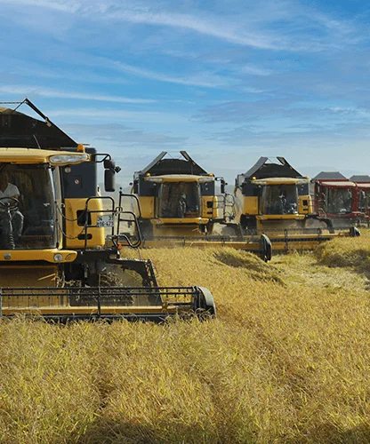 Gonen Baldo Rice — Gönen Mutlular Tarım İşletmeleri Sanayi ve Ticaret Ltd. Şti.