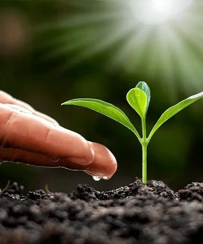 Agricultural Products — Gönen Mutlular Tarım İşletmeleri Sanayi ve Ticaret Ltd. Şti.