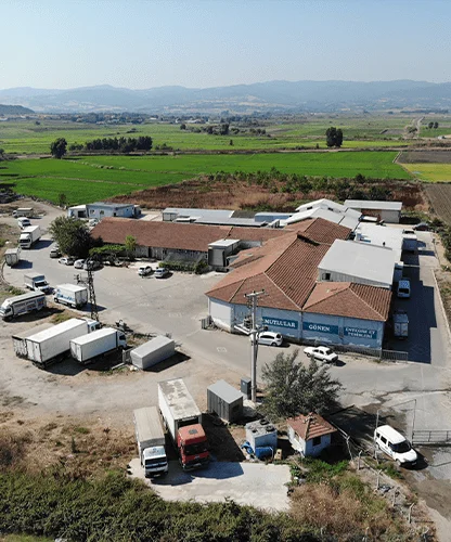 Meat and Integrated Food Products — Gönen Mutlular Tarım İşletmeleri Sanayi ve Ticaret Ltd. Şti.