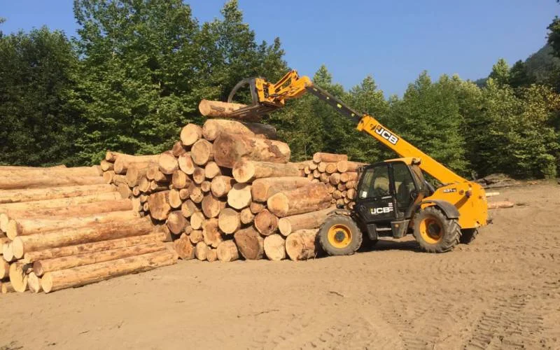 Sawmilling — Ankersan Orman Ürünleri İnşaat Nakliyat San. ve Tic. A.Ş.
