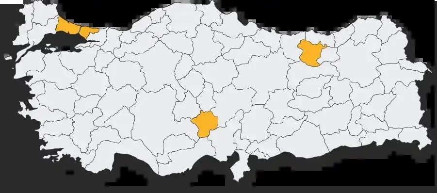 Kurşun Konsantresi — Gümüştaş Madencilik ve Ticaret A.Ş.