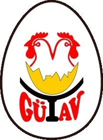 Toptan Tedarik — Gümüş Tavukçuluk Ltd. Şti.