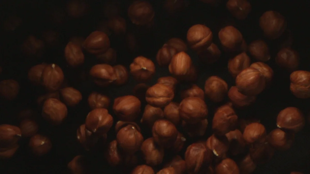 Hazelnut Processing — Yavuzkan Hazel