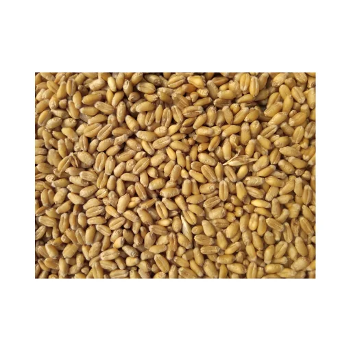 Tiryaki Agro Gıda San. ve Tic. A.Ş. (mersin Tesisi) logo