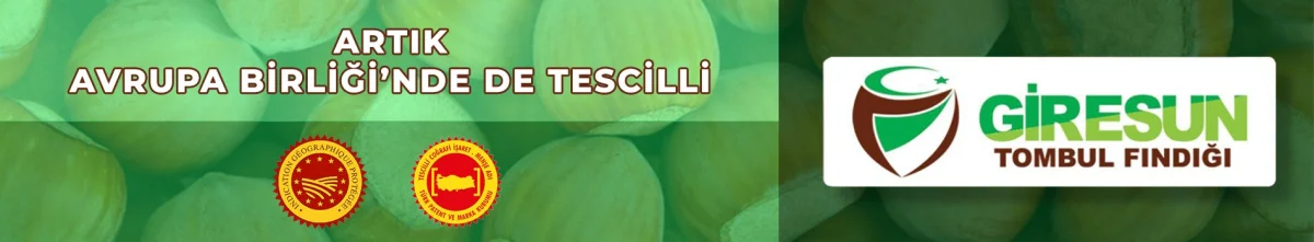 Kavrulmuş İç Fındık — Fiskobirlik