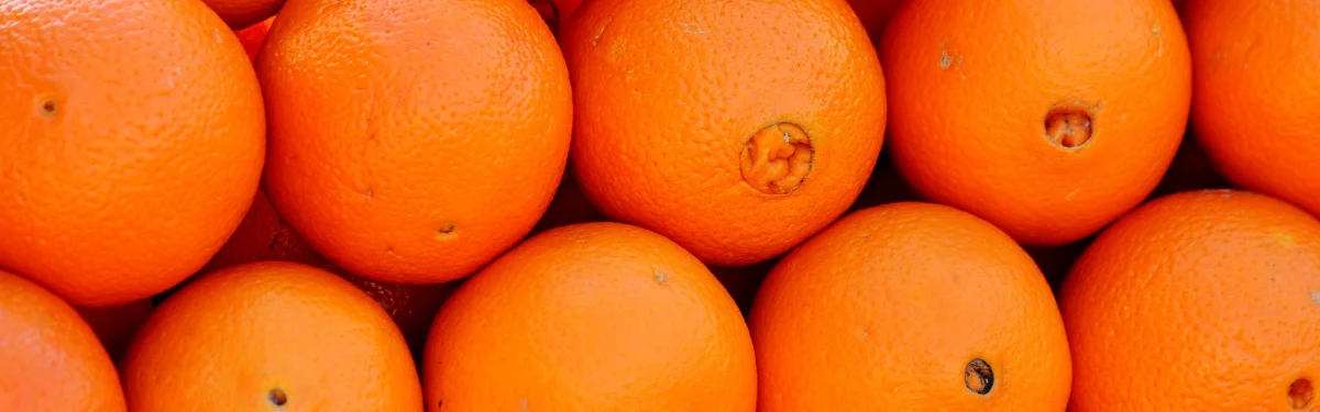 Narenciye Paketleme — Menas Citrus