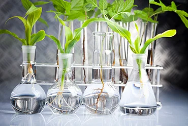 Bulk Ethyl Alcohol Supply — Limko Kimya Sanayi Ticaret A.Ş.