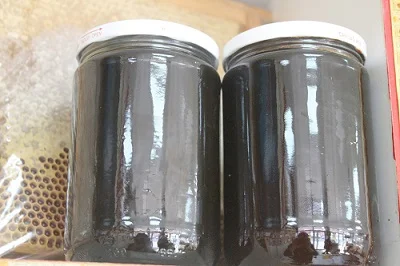Gruyere Cheese — Özkar Süt