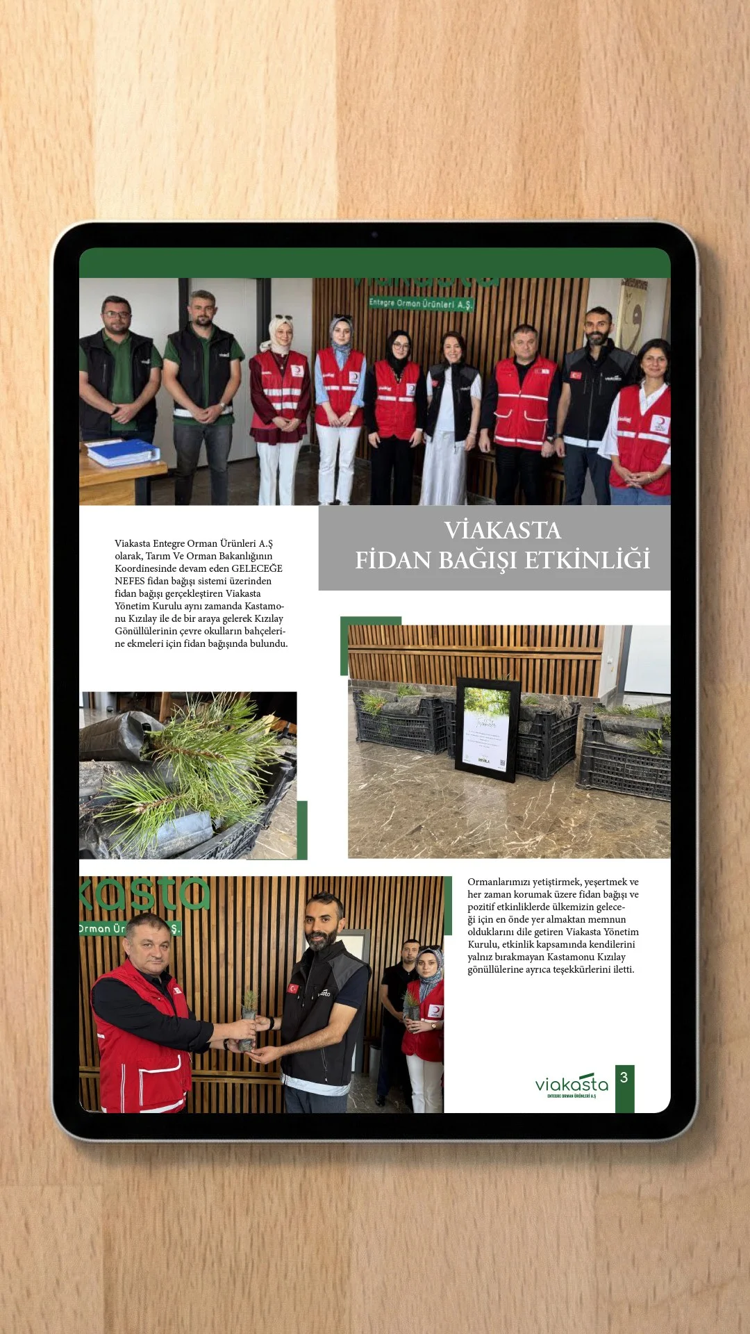 Planed Lumber — Viakasta Entegre Orman Ürünleri