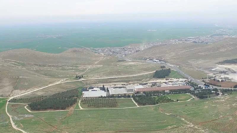 Mardinboru