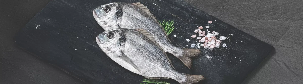 Mediterranean Seabream — Kılıç Deniz