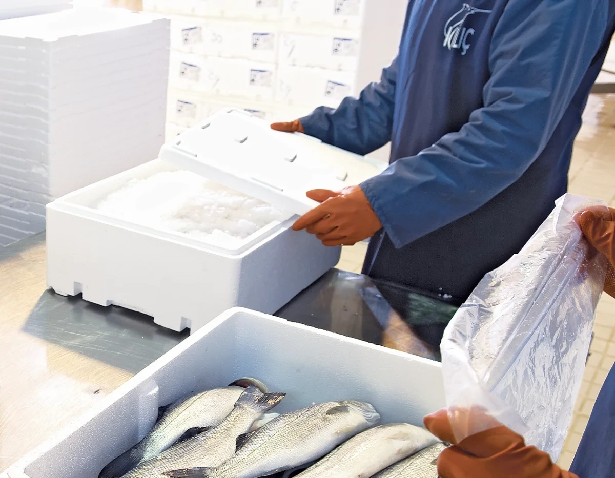 EPS Fish Box Production — Kılıç Deniz