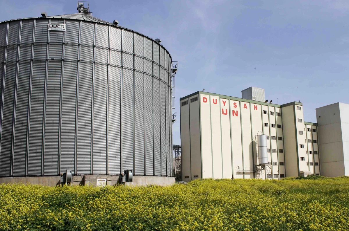 Wheat Import and Processing — Duysan Un
