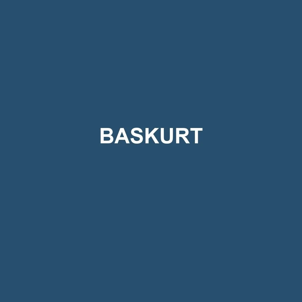 Automotive Wire Harness — Başkurt Motor ve Kablo