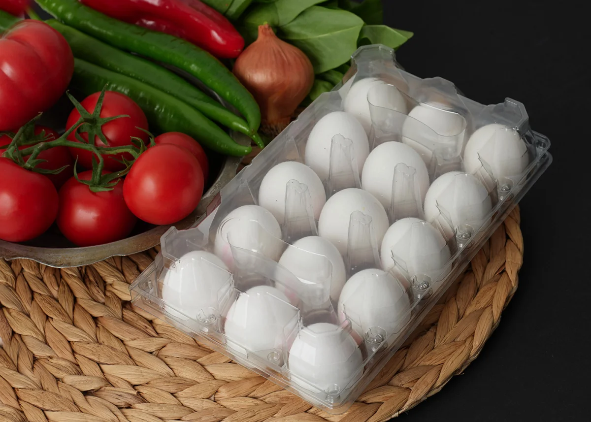 Egg Trays — Ambalajsan A.Ş.